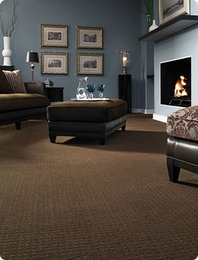 Stylish lounge carpet